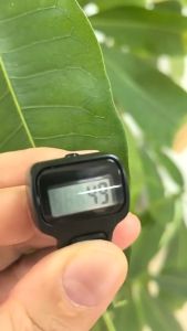 Cincin Tasbih Digital LED Mini & Alat Penghitung Dzikir Tally Counter TOP937