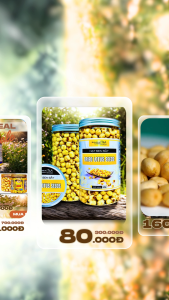 Hạt Sen Sấy Loại 1 cao cấp hủ nắp nhôm vặn 500g - 250g Xuonhatta