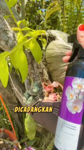 Agro Farm Orchid Flowering Fertilizer/Baja Orkid/Orchid Fertiliser