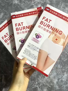 Miếng Dán Tan Mỡ Bụng Big Belly Patch 5 Miếng Thảo Dược Ngải Cứu – Miếng Dán Giảm Béo Bụng Thon Eo