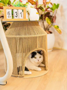 ZIYE | Cat Bed Coffee Table Dual Function Small Round Table