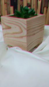 SidsWood [PK] Pot Kaktus / Succulent Kayu Jati Belanda – Pot Tanaman Hias Minimalis untuk Dekorasi Indoor