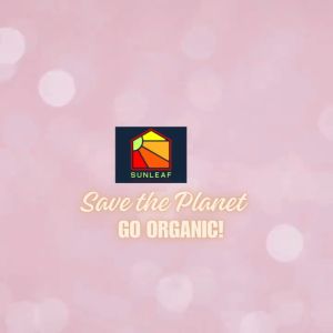 Phòng Rệp Sáp Bọ Trĩ Nhện Đỏ Nấm Bệnh Túi Lớn Chế Phẩm Sinh Học 100% Hữu Cơ | Tinh Chất Gừng Tỏi Ớt | SunLeaf