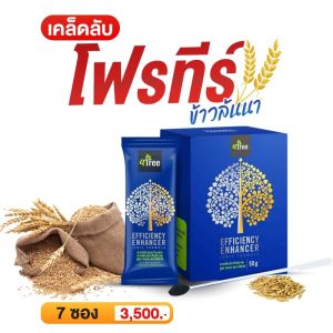 🔥พร้อมส่ง! ส่งไว🔥  4TREE โฟทรี ของแท้  7 ซอง  4tree โฟร์ทรี สารเสริมประสิทธิภาพ  โฟร์ทรี ของแท้  ชาวนา เงินล้าน