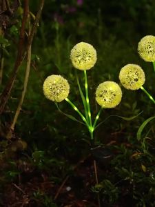 No Brand | Solar Outdoor Decorative Lights for Garden Landscaping