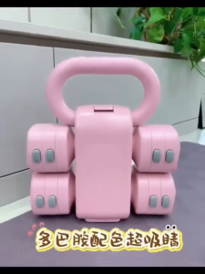 【SG Stock】2-in-1 Adjustable Dumbbell & Kettlebell Set 5kg 5.5kg Weights Home Gym Equipment Workout