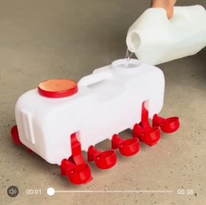 Chicken duck goose water dispenser automatic water bucket free range chicken semi-automatic fe