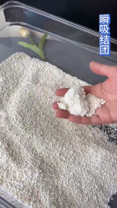 Cassava Cat Litter Gilancy Deodorizing Dust Free Water Absorbing Clumping Plant Cat Litter 2.5KG