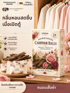 Yinian | Viên Long Não Chống Mọt Chống Nấm Mốc Hút Ẩm Cho Nhà Ở Ký Túc Xá Tủ Quần Áo