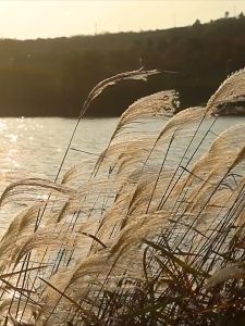 คันเบ็ดตกปลา UL Fly Fish เบ็ดตกปลา คันเบส คันเบ็ด 1