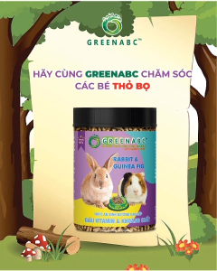 Thức ăn Thỏ Bọ GREENABC – Cung cấp protein - canxi - lipid lông mượt – Hộp 480g