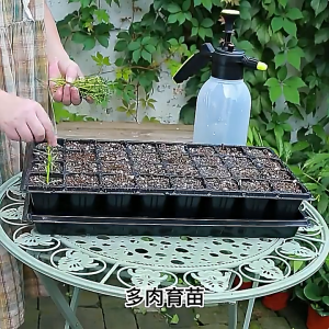 MonQiQi 10/20 PCS Pot Bibit /  Seedling Pot / Pot Tray Semai Bibit Benih 21/32/50/72/105/128/200 Holes