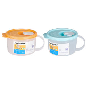 Tupperware | Microwave Safe Portable Food Container
