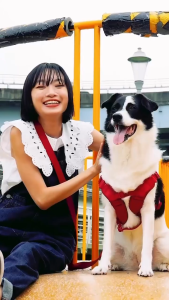 Snob Ark x SPUTNIK® Explore Series Pet Harness