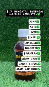 Madu Bajakah Bio Gold 280 Gram: Menyehatkan Pencernaan & Diet