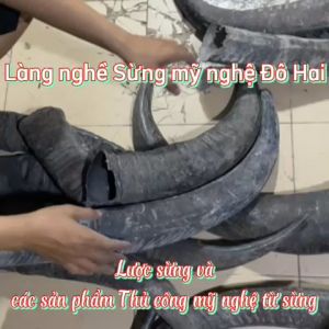 Đón gót giày bằng sừng tiện lợi vừa làm móc khoá