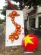 thaomoct18@