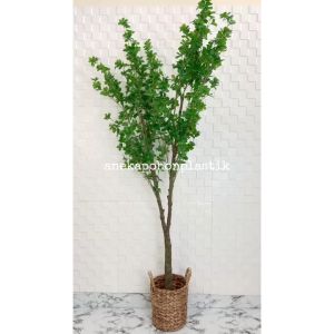 Tanaman Artificial Pohon Hias Daun Semanggi T170 Latex Cover Pot Eceng Gondok Handle Dekorasi Ruangan Aesthetic