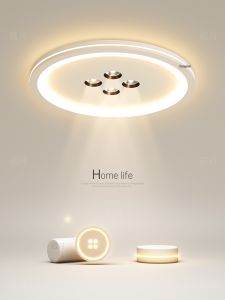 Modern Simple Design LED Ceiling Light for Bedroom Living Room Dining Room