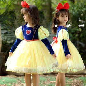 Winter New Snow White Costume Dress