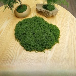 Lawn Ornament Fake Moss Lawn Landscape Props Green Plant Micro Plant Artificial Green Moss Lawn Bonsai Pathway Decorations