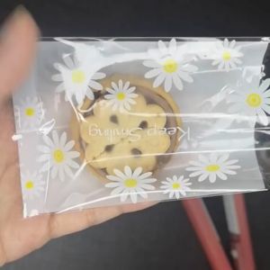 Mini Handheld Heat Sealing Plastic Heat Sealer Packaging Food Handheld Sealing Machine