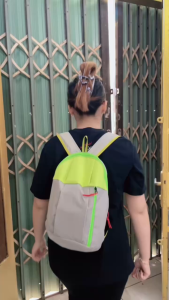 Balo nam nữ thể thao Will mesh Việt Nam MEN đa năng [SIÊU PHẨM MỚI]