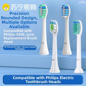 Philips Compatible Electric Toothbrush Heads Deep Cleaning Adult Hardness Grade Normal Specification L3593 June Initial