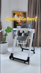 Quinton Go Berry High Chair Baby Multifunction Adjustable Height and Reclining