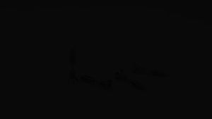 Bông tai cây đinh ốc vít cá tính thời trang kpop (1 chiếc)