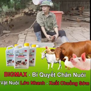 BIG MAX SIÊU TĂNG TRỌNG(gia súc gia cầm) Big Max Siêu Tăng Trọng Dành Cho Gia Súc, Gia Cầm Thực Phẩm Hoàn Toàn Tự Nhiên Cho Thú Cưng - Lazada