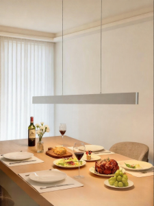 JIANDUN | Spectrum-Protecting Long Bar Simple Style Hanging Light