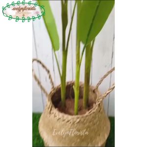 Pohon Plastik Pisangan Heliconia Bunga Bird Of Paradise T145 Latex Artificial Pot Dasar Cover Anyaman Purun Belly Small Dekorasi Ruang Tamu Pajangan Rumah Aesthetic