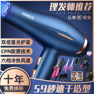 German Electric Hair Dryer Anion Hair Care Salon Household High-Power Hair Blowing 3000W Hot and Cold Wind Static