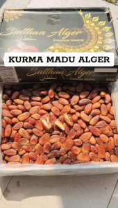 KURMA TUNIS MADU DUS 5KG Deglet Nour of Tunisia 5 kg Tanpa Non Tangkai Korma Dates Alger Algeria