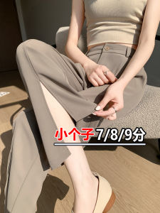 Quần Ống Rộng Cạp Cao Cho Nữ Mùa Xuân 2024 Quần Ống Rộng Ống Đứng Màu Đen Dài Đến Mắt Cá Chân Có Túi