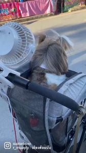 พัดลม พัดลมพกพา พัดลมตั้งโต๊ะ พัดลมติดรถเข็นสัตว์เลี้ยง พัดลมชาร์จไฟแบบหนีบ USB ลมแรง 10000 MAh ปรับได้ 4 ระดับ อยู่ได้นาน 36 ชม