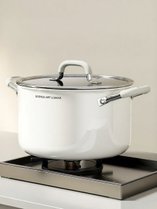 DUMIK | 316 Stainless Steel Food Grade Pot Electromagnetic Stove and Gas Compatible 2-Handle
