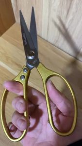 kéo cắt được làm từ thép trắng không rỉ sét công dụng đa năng trong nội trợ nhà bếp sắc bén giá tại xưởng