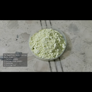 Alginate Impression Material 500g Chromatic Molding Powder Precision 3D Model Dental Grade Fast Set DIY Crafts Casting