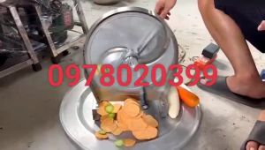 Máy thái lát chạy điện thái nhanh mỏng đều các loại củ quả