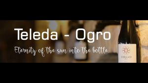 GOURMET SPECIALTY WINE - HALF CASE 6x 750ml - ORGO KISI   "OK"   QVEVRI NATURAL ORANGE WINE  - NATURAL WINE ORANGE WINE - MUST TRY