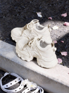 Josiny | Thick Sole Breathable Lace-up Dad Shoes