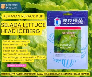 Benih Selada Iceberg Georgia 953 Berkualitas Tinggi - Kemasan Repack Klip untuk Berkebun Dirumah