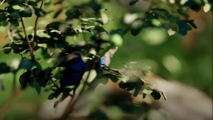 Lapak Gadis Lapak Gadis Happy Shampoo Lidah Buaya 100ml