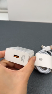 BONITAAA : 100W Rapid Charge Type-C Plug and Multi-Watt Charging Cord Combo
