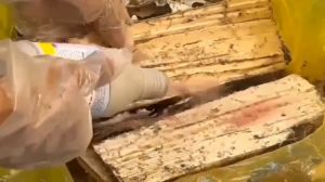 Combo diệt mối sinh học PMC: 2 Hộp nhử mối + 1 lọ diệt mối PMC 90 bột hồng diệt mối tận gốc