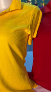 เสื้อโปโลหญิง ทรงเข้ารูป เสื้อโปโลหญิง Slim Fit เสื้อผู้หญิง รุ่น VP02