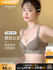 Princess Tiala Seamless Intimates Small Breasts Ladys Gathered No Wire Accessory Breast Push up Push-up Bra Brand