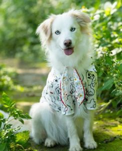 Summer Breathable Pet Shirt Dog Beach Wind Clothing Medium And Large Sizes Available